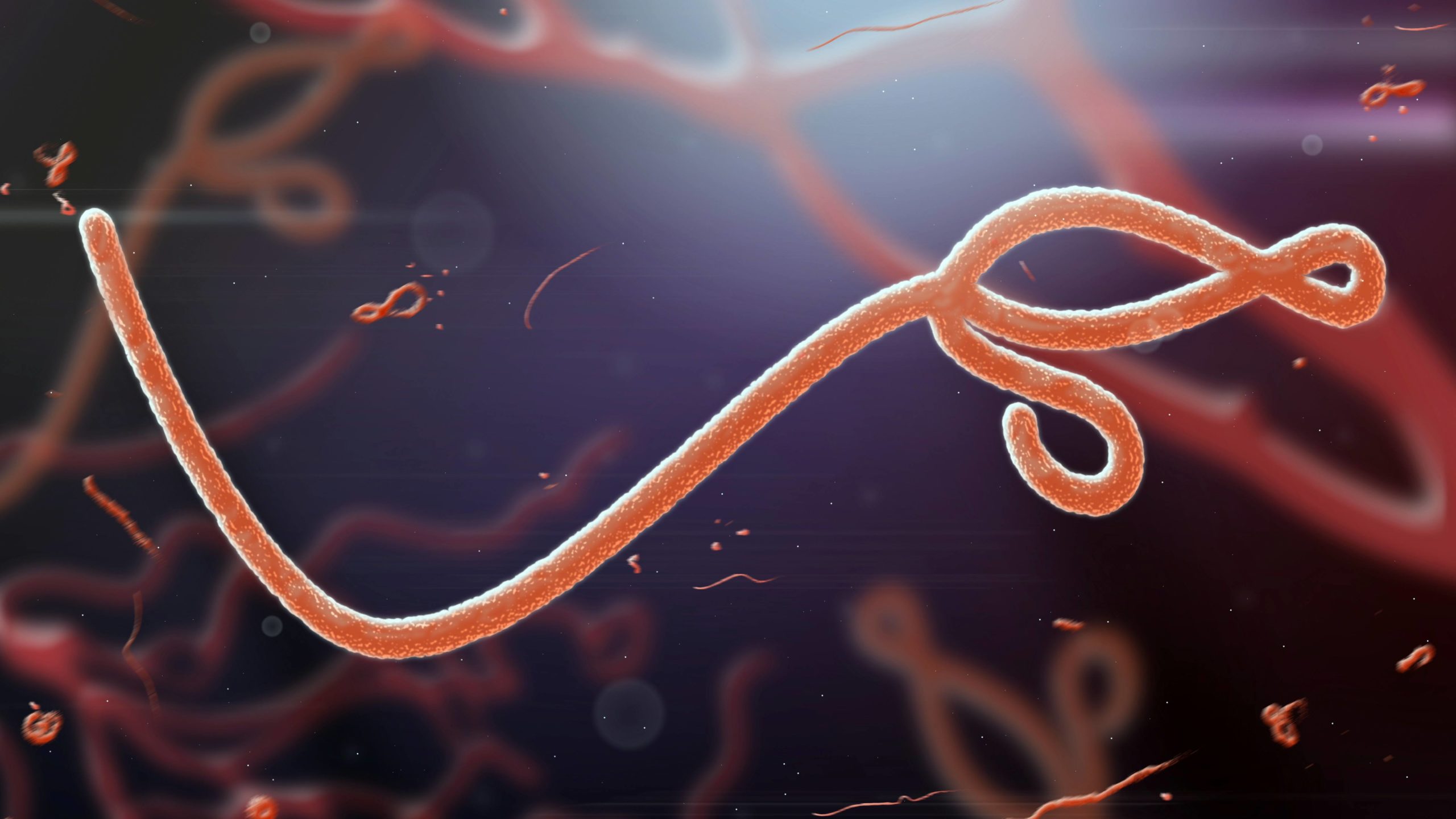 World Health Organization Declines to Declare the Ebola Outbreak an Emergency for the 3rd Time.